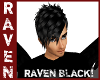 DM RAVEN BLACK!