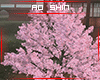 侍. Sakura Tree