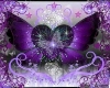 PurpleHeart Butterfly