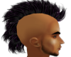 black&purple hawk