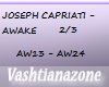 V-J.CAPRIATI-AWAKE 2/3