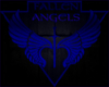 [EVIL]FALLEN ANGELS DJ 