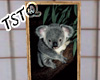 Koala Bear