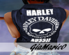 g;Harley Aussie-F