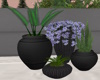 J|Decorative Plant Set 4