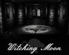 ~SB Witching Moon