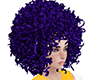 curly purple/F