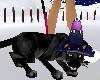 PET Witch's Black Cat