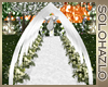  Wedding Arch