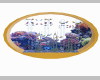 Exotic Golden Fish Tank