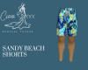 Sandy Beach Shorts