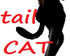 {Ash} CAT Tail