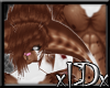 xIDx Choco Shake Fur M 2
