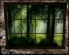 Northern Forest Window 