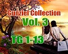 Gunziel Collection Vol.3