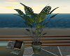 sum res tropical plant 2