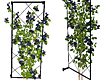 [F84] Wall Flower Tree 6