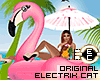 ! EC Flamingo Pool