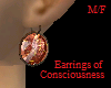 Consciousness Earrings