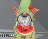 Gnome w/ Melon