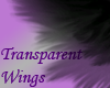 Black Transparent Wings