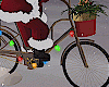 *Santa Claus on bike*