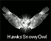 Hawkowl wing top .silver