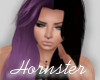 .:H:. Mafalla Lavender