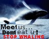 Stop Whaling