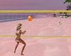 Beach VolleyBall Anim