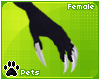 [Pets] Esme | claws