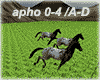 Epic Appaloosa Horses