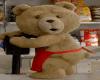 Casaco Teddy Ozyn