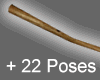 BroomStick + 22 Poses