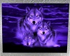 Gorgeous Wolves