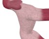 Pink Poodle