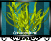 AM:: Sea Weed Enhancer