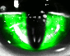 Sparking Cat Eye Emerald