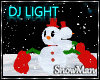 DJ LIGHT - SnowMan