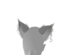 Holo | Ash Ears