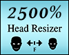 Head Scaler 2500%