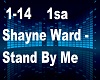 Shayne Ward Stand by me