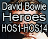 QSJ-D.Bowie Heroes