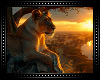 ♔ Lioness Background