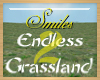 endless grassland2