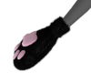 Kitty Paws V1