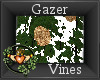 ~QI~ Gazer Vines