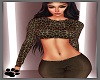 A~ Here Kitty Kitty Top