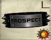 *X* L Armband Prospect