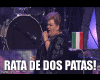 ! Rata inmunda - Paquita